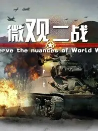 《微观二战》：颠覆你的历史观，用全新视角审视那场战争的残酷与伟大！