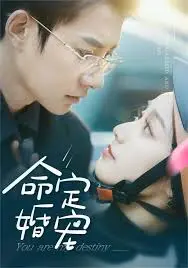 《命定婚宠》：契约婚姻下的破冰之旅，爱与救赎的极致碰撞