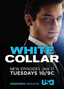 《妙警贼探 第三季》：爆笑升级，案件悬疑，这场智慧与幽默的较量永不落幕！