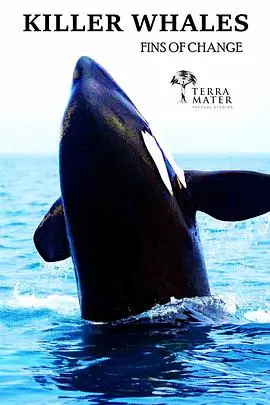 《北极虎鲸》：冷峻深海下的震撼生命史诗，探寻海洋霸主的生存之道与家族秘密！